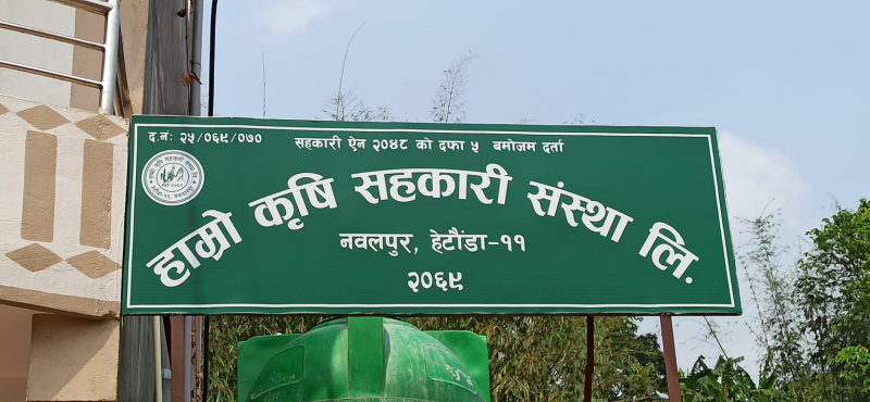 हाम्रो कृषि सहकारीले दशैं खसी बजार मेला गर्ने